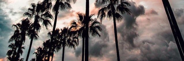 _alexpina_'s profile banner image