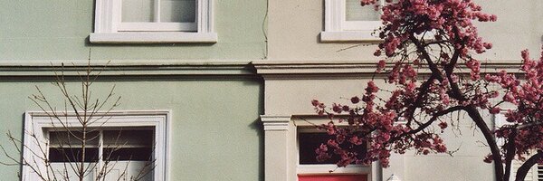 zflwer Profile Banner