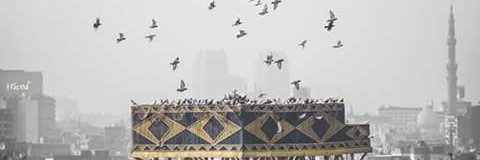 ahmedrm206's profile banner image