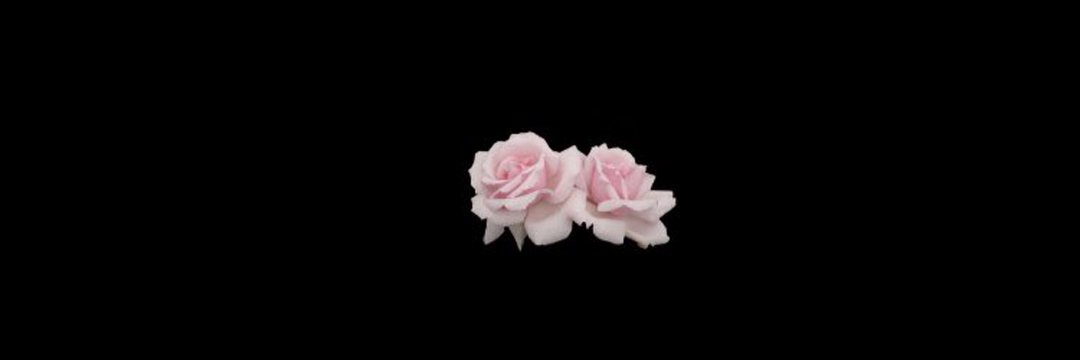 _QueenThachala's profile banner image