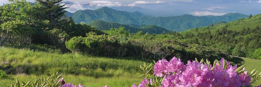 mountaincrafted's profile banner image
