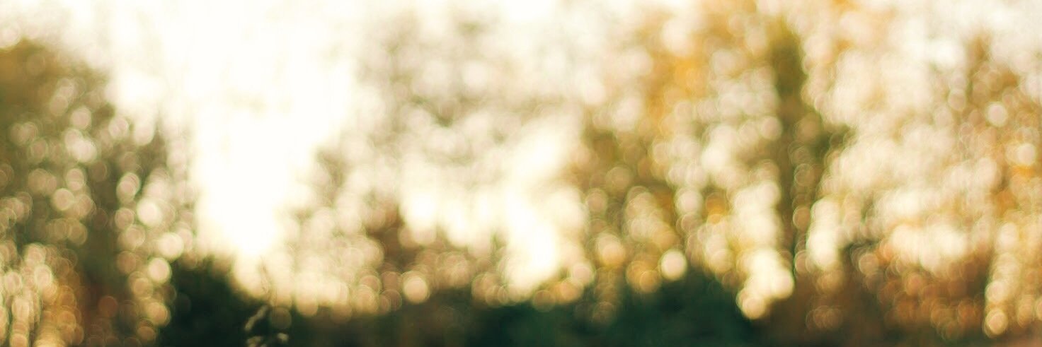 meganday_02's profile banner image