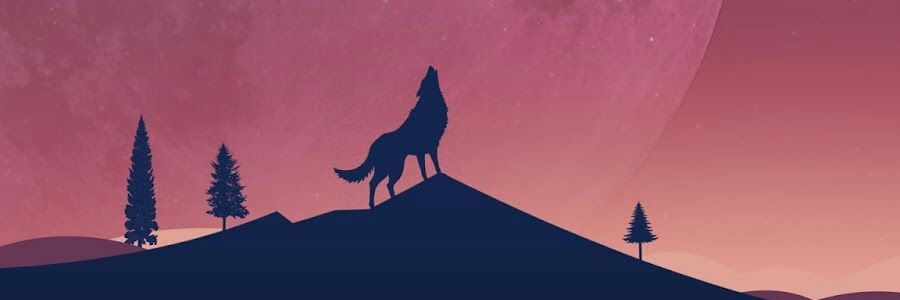 zafamafaz's profile banner image