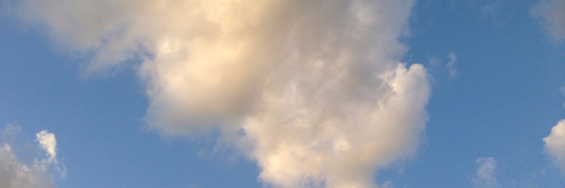 Permaria5906's profile banner image