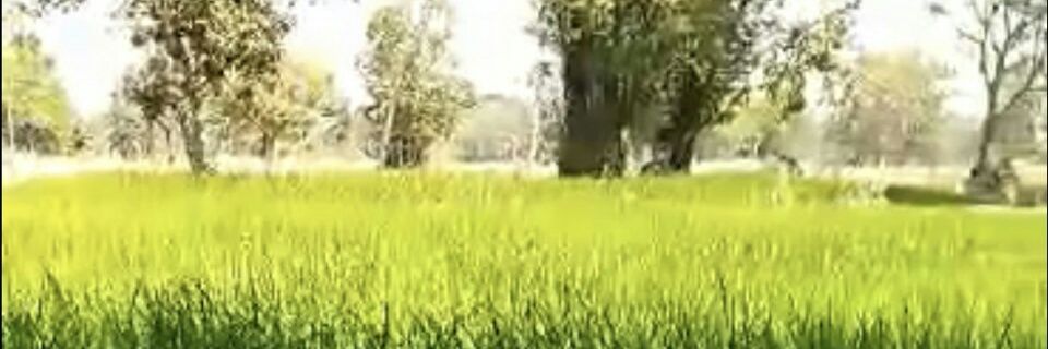 Think_T43's profile banner image