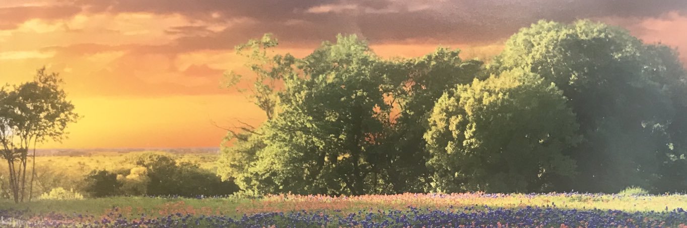 Paula Lobb banner