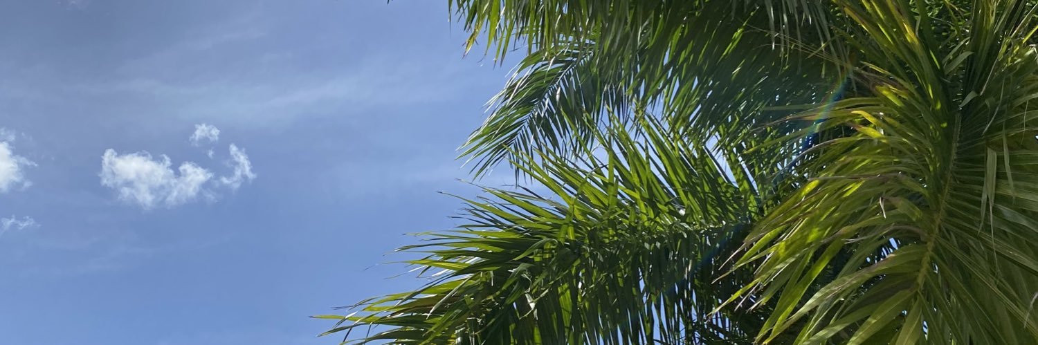 malurimo's profile banner image
