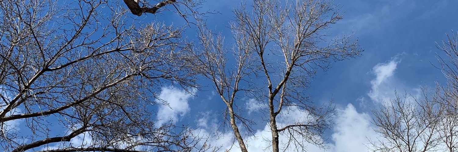 Lenora Thomas 🇨🇦 banner