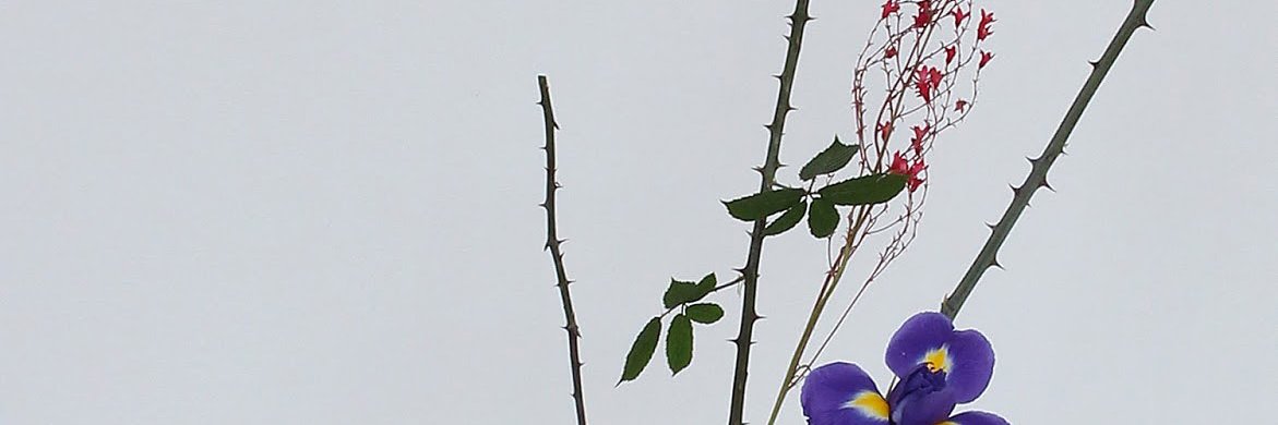 artwritingdaily's profile banner image