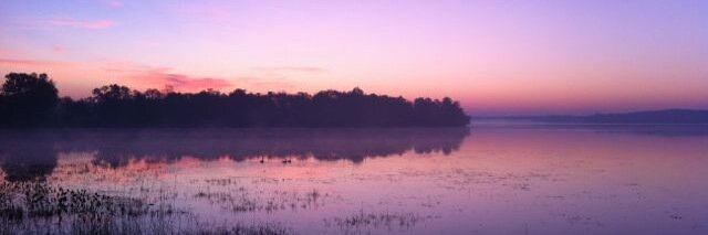 ShowYourCatch's profile banner image