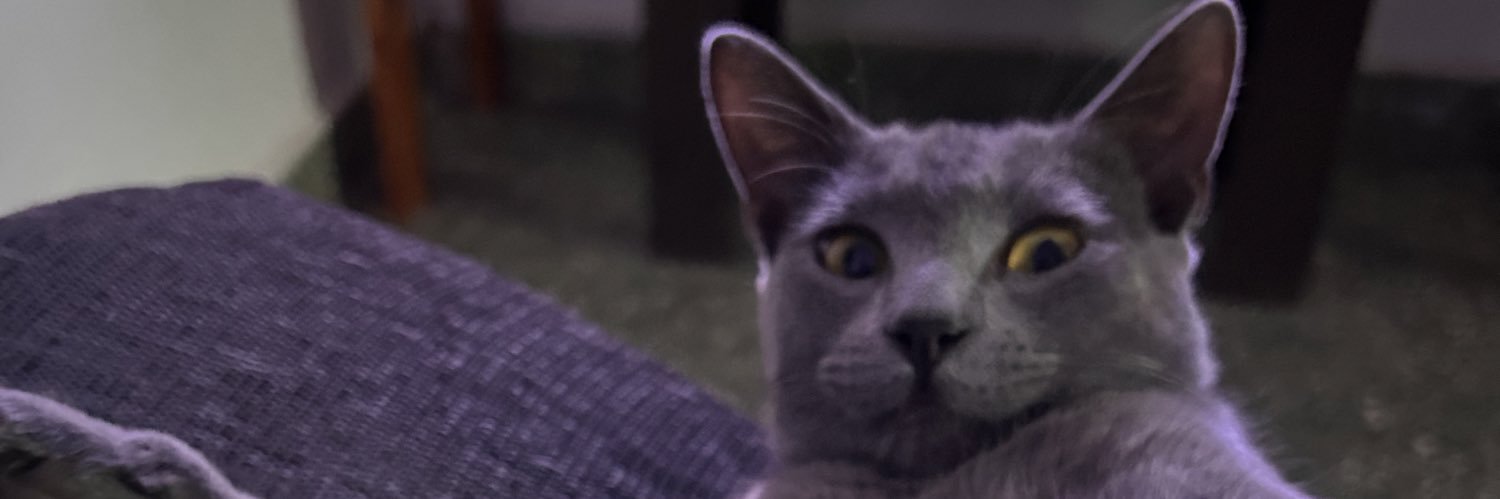 💗 banner