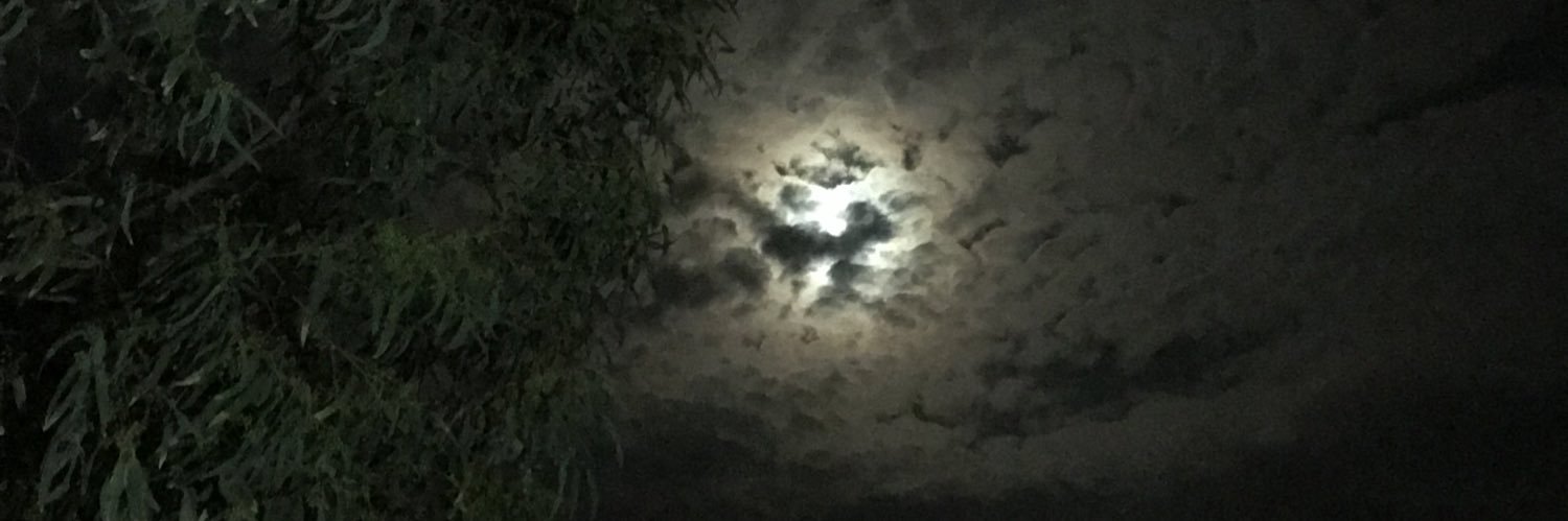 Me_om1's profile banner image