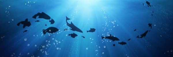 South Coast Herald banner