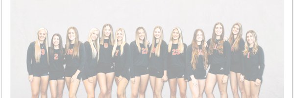 THSCougarsVB Profile Banner