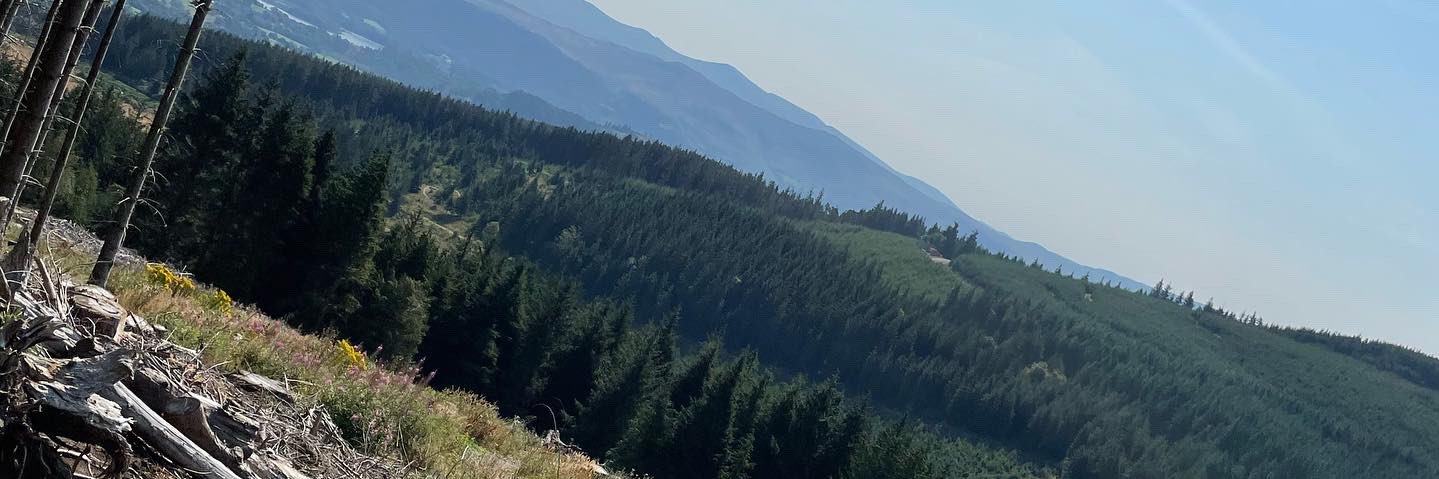 Felicity Baillie 💙 banner