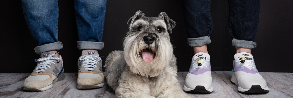 CTPet's profile banner image
