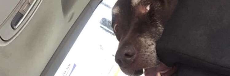 Beantlejuice's profile banner image