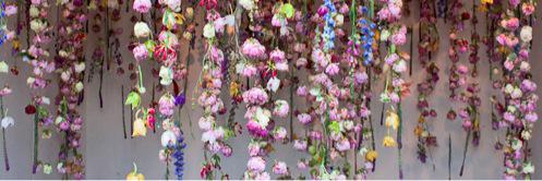 AngelinaAldpoor's profile banner image