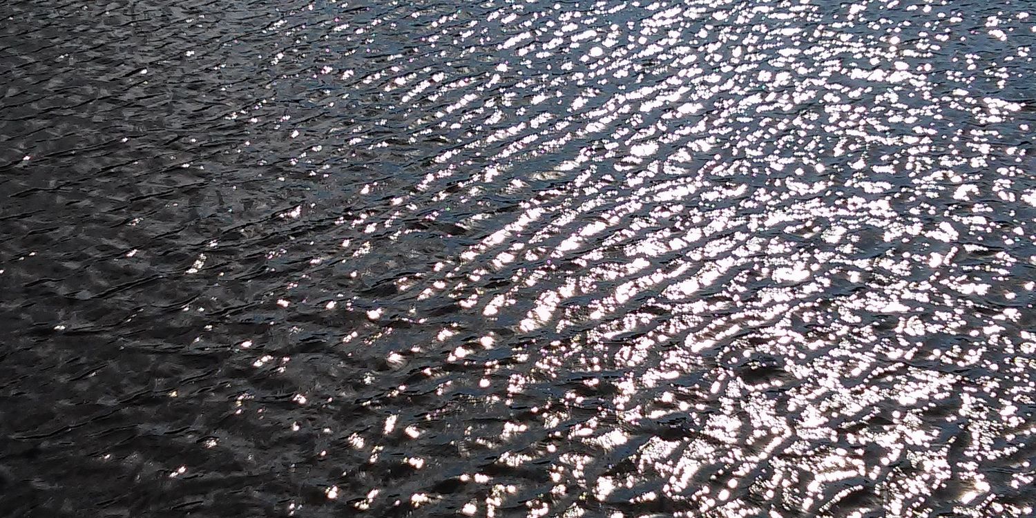 birgit_wolter's profile banner image