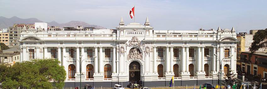 DignidadyDemocracia banner