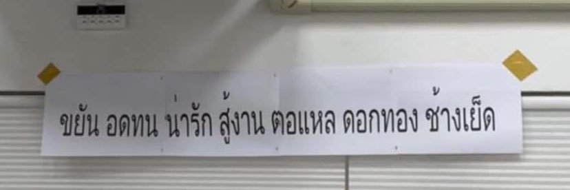 น้องหมูกรอบ banner