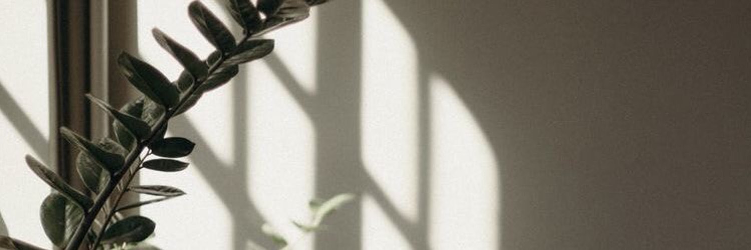 _Taima1's profile banner image
