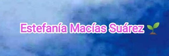 stefanymaciass's profile banner image