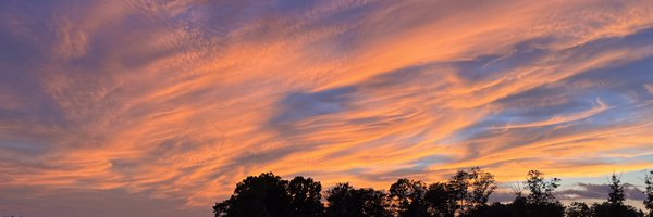 h_simpson11 Profile Banner