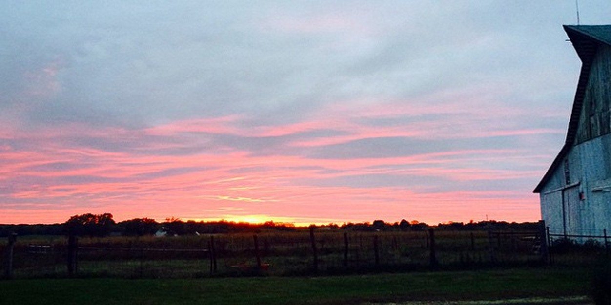 Michelle Simmons banner