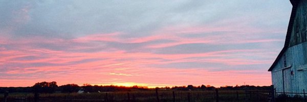 mwsimm Profile Banner