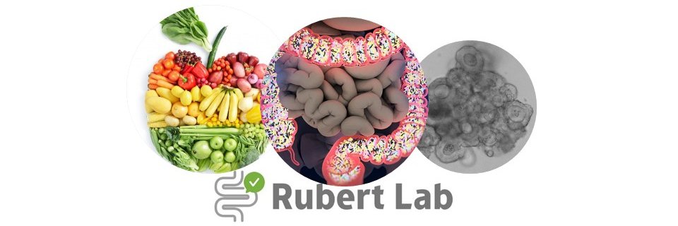 Josep Rubert banner