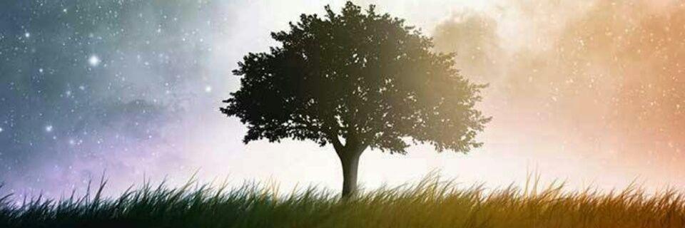 Do_raemong's profile banner image