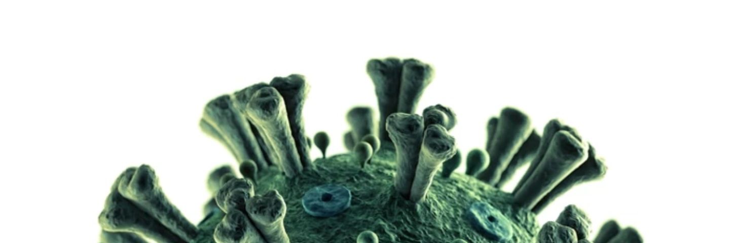 Reality Czar 🍌👑🅰️rend-Jan🤡🌍 banner