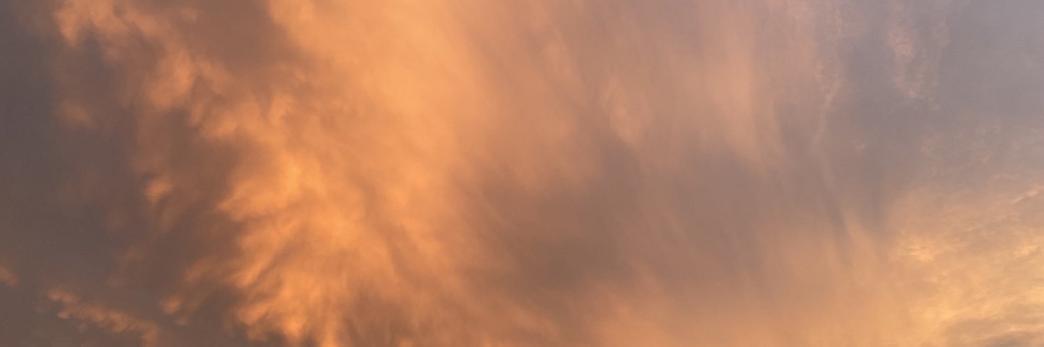 Mercedesreedd's profile banner image