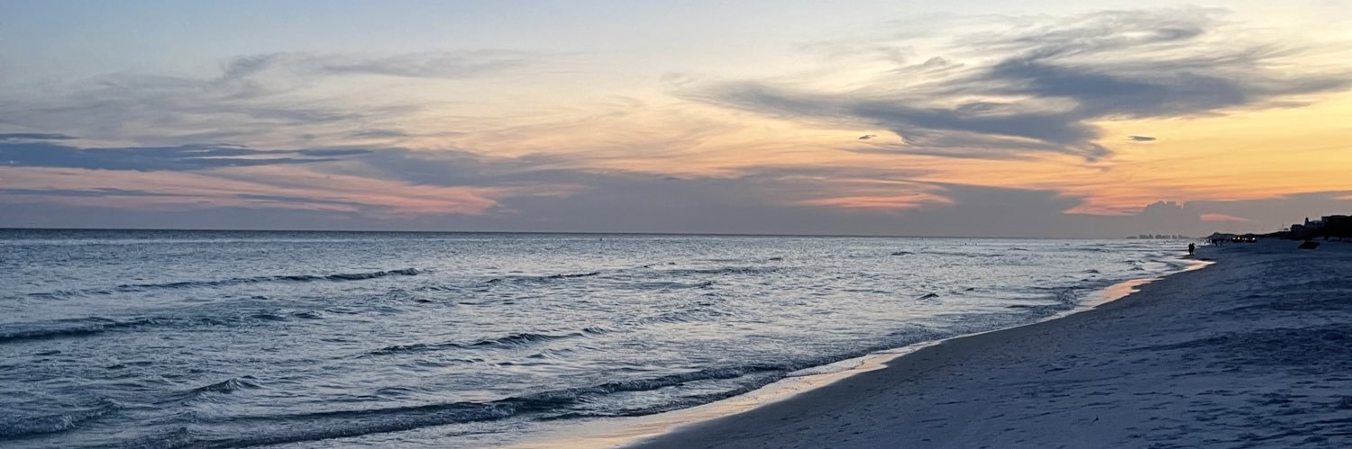 Presley Leebrick banner