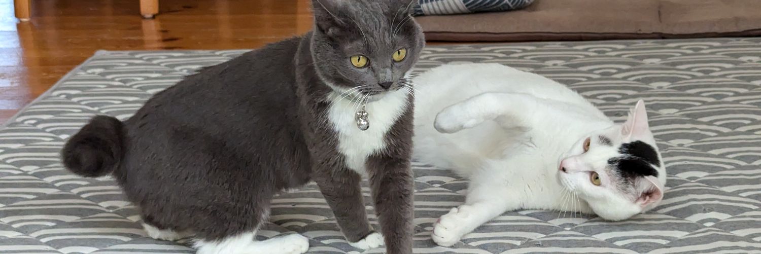 tomoyuttin's profile banner image