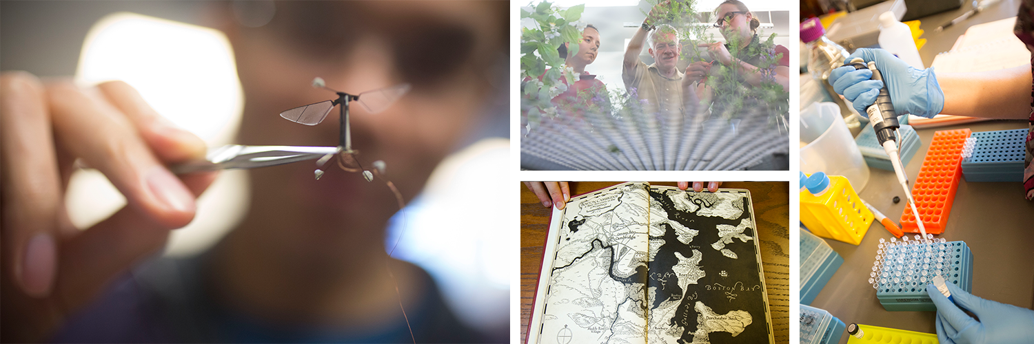 Harvard Research banner