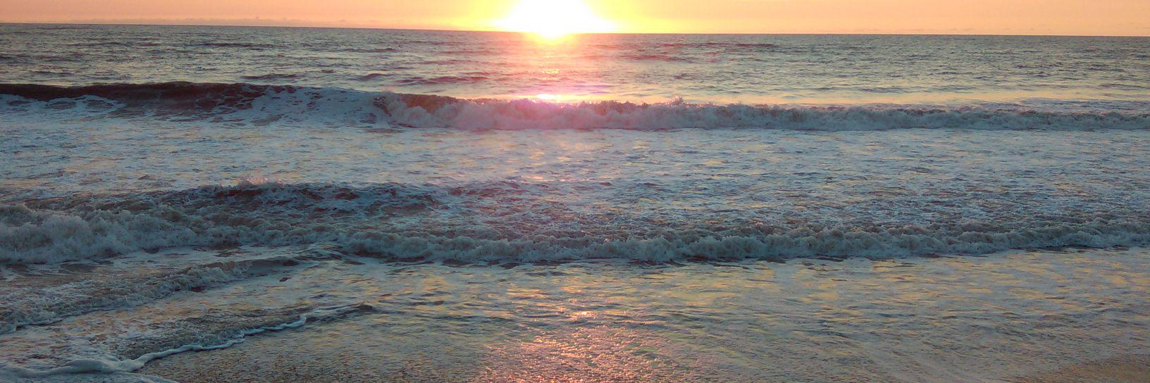 Cherie Ferguson banner