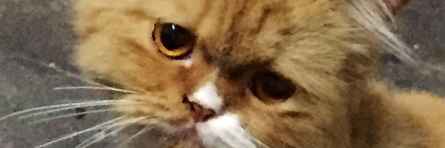 sompondd's profile banner image