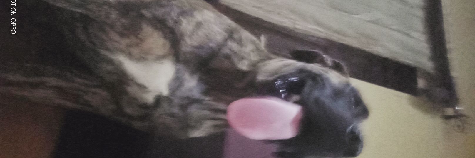 κєγє banner