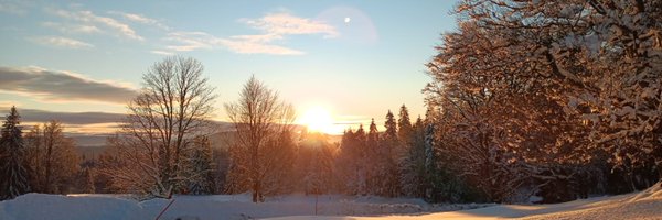 ChloeMorin2 Profile Banner