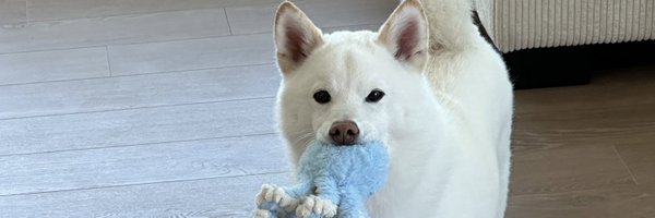 Valkyrae Profile Banner