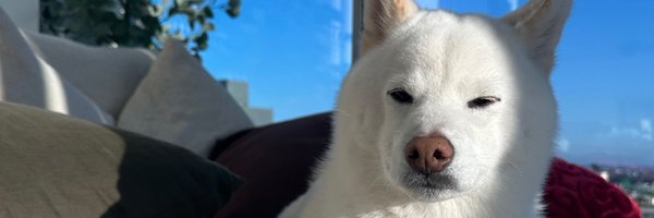 Valkyrae Profile Banner