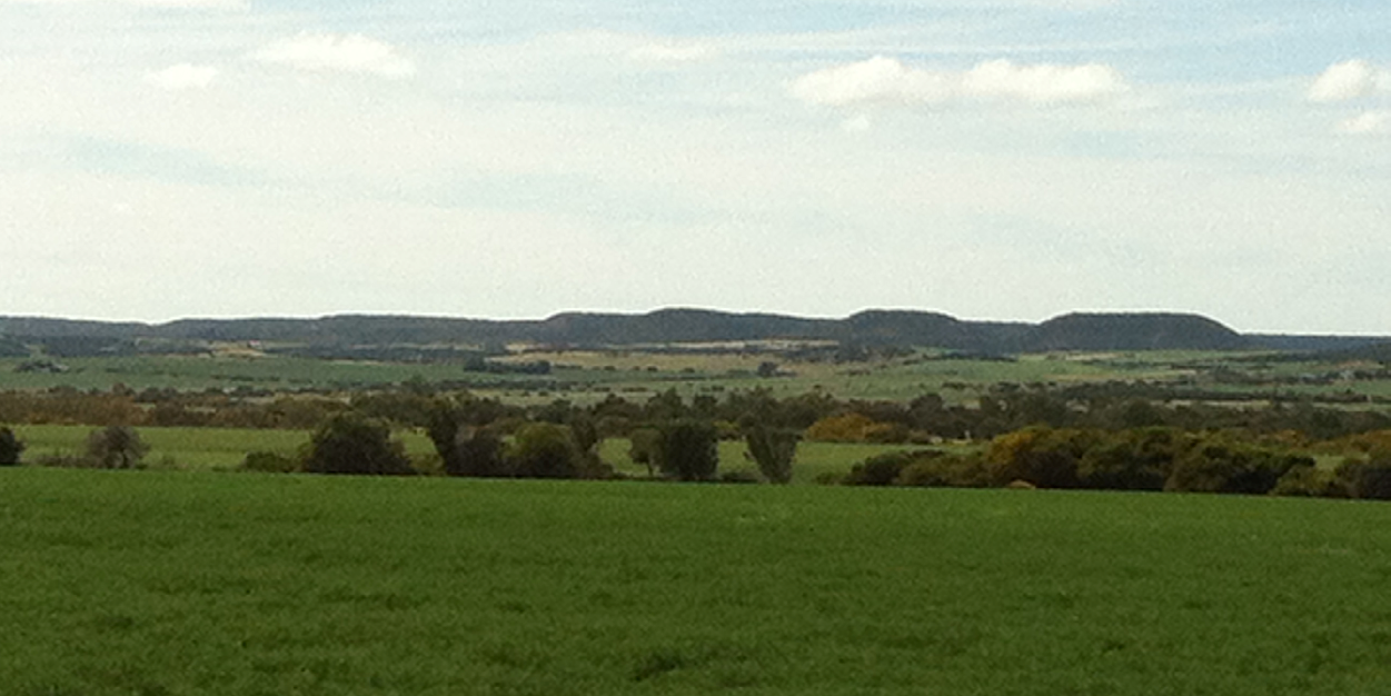 Bindi Isbister banner