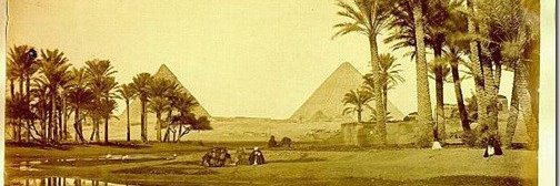 ممدوح العرابي banner