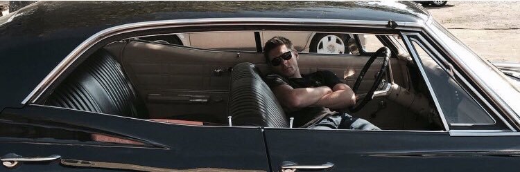 law🦖🦈🦇🐍 banner