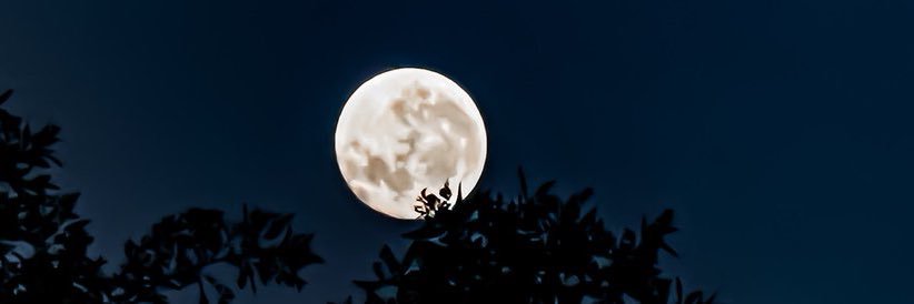 selenac_911's profile banner image
