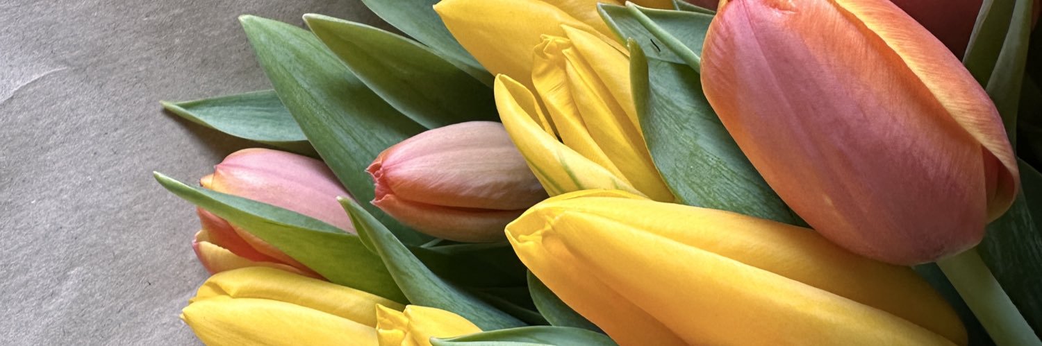 katnerys's profile banner image