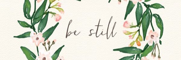sofiarswan's profile banner image