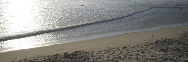 Ana_B_Gil Profile Banner